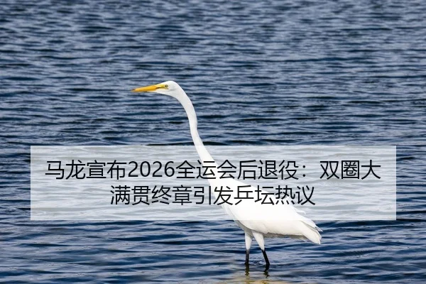 ma-long-xuan-bu-quan-yun-hui-hou-tui-yi-shuang-quan-da-man-guan-zhong-zhang-yin-fa-ping-tan-re-yi-2-477.jpg